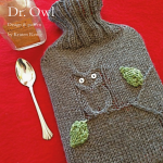 Owl Hot Water Bottle Cover Free Knitting Pattern