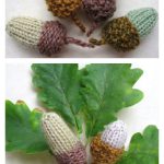 Acorn Free Knitting Pattern