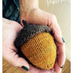 Acorn Free Knitting Pattern