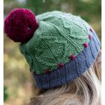 Carolina Holly Christmas Hat Free Knitting Pattern