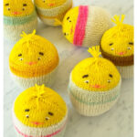 Chick-in-an-Egg Free Knitting Pattern