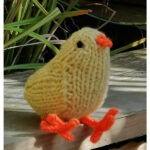 Little Chick Free Knitting Pattern