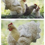 Hen Knitting Pattern