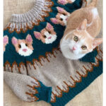 Kitty Cat Sweater Knitting Pattern