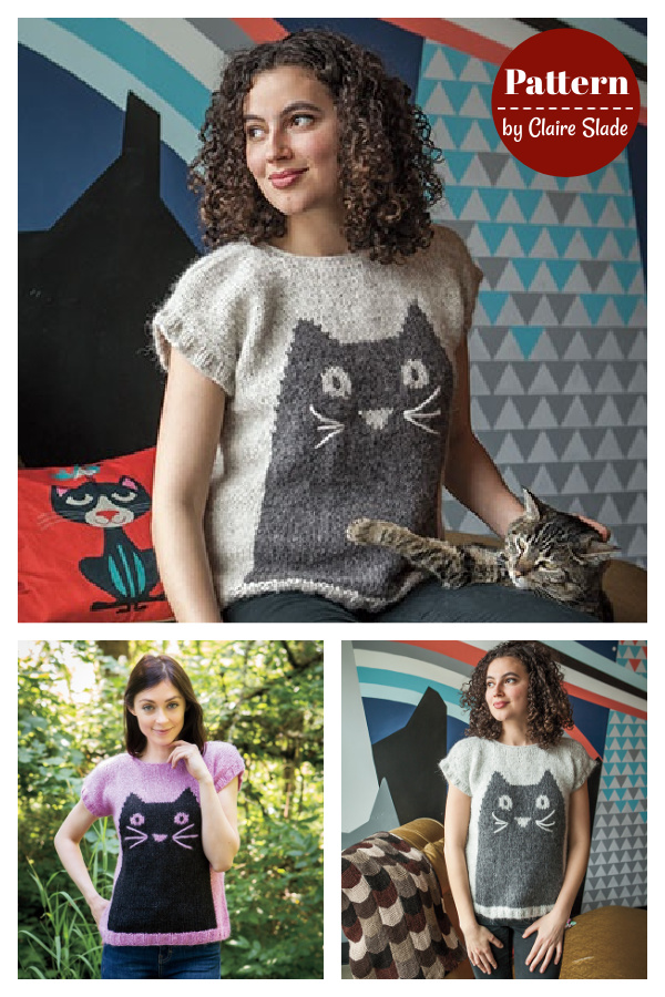 Professor Meow Pullover Knitting Pattern