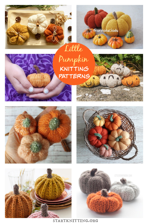 Little Pumpkin Free Knitting Pattern and Paid 