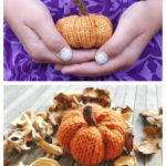 Petite Pumpkin Free Knitting Pattern