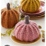 Pumpkin with English Rib Free Knitting Pattern