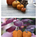 Pumpkins for Beginners Free Knitting Pattern