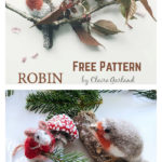 Robin Bird Free Knitting Pattern