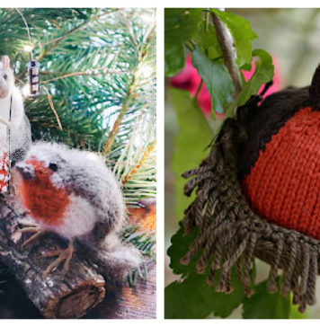 Robin Bird Free Knitting Pattern