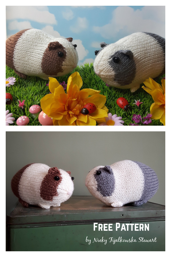 Guinea Pig Free Knitting Pattern
