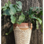 Lacey Plant Pot Holder Free Knitting Pattern