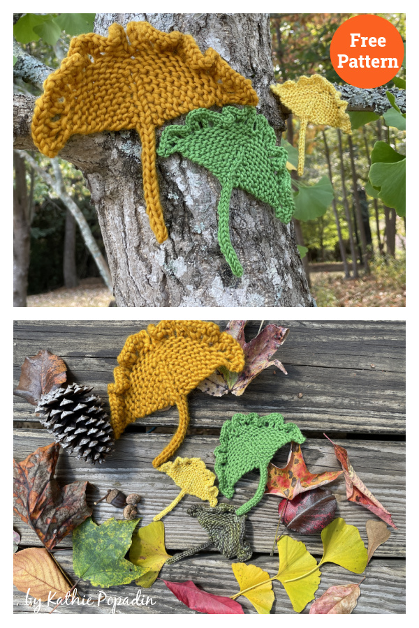 Ginkgo Leaf Free Knitting Pattern