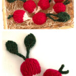 Radiant Radish Free Knitting Pattern