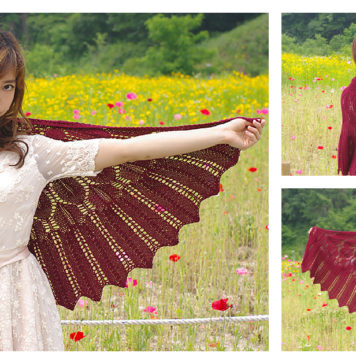 Wings for Nightbird Shawl Free Knitting Pattern