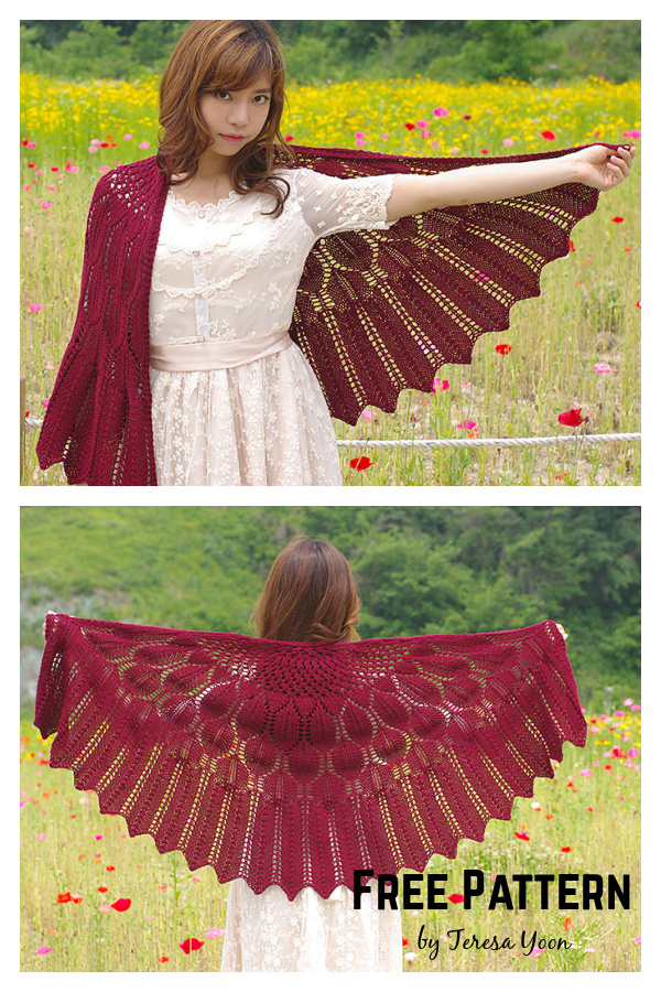Wings for Nightbird Shawl Free Knitting Pattern 