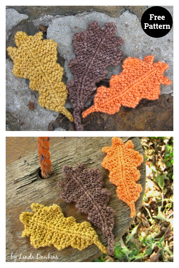 Autumn Oak Leaf Free Knitting Pattern