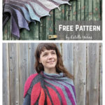 Falling Leaves Shawl Free Knitting Pattern
