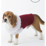 Celebrator Dog Sweater Free Knitting Pattern