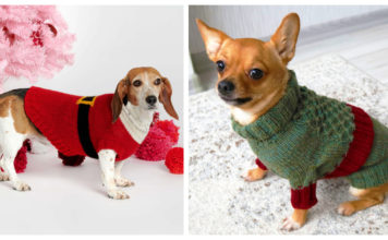 Christmas Dog Sweater Free Knitting Pattern