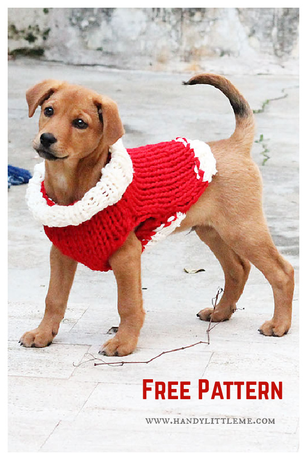 Christmas Puppy Sweater Free Knitting Pattern