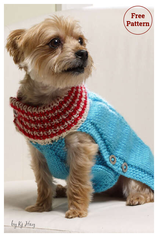 Holiday Dog Christmas Sweater Free Knitting Pattern