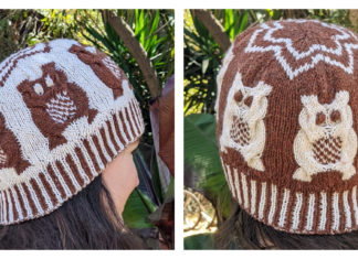 Parliament of Owlets Hat Free Knitting Pattern