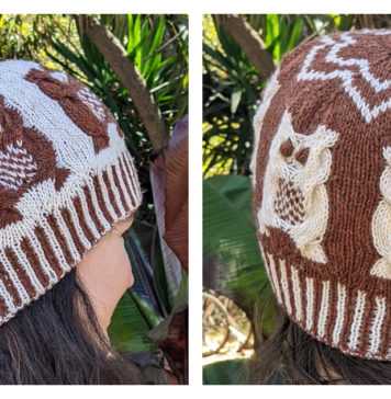 Parliament of Owlets Hat Free Knitting Pattern