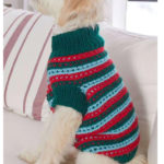 Stylish Dog Sweater Free Knitting Pattern