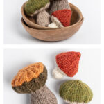 Fall Fungi Free Knitting Pattern