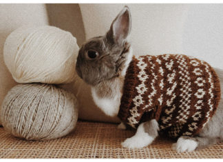 Bunny Hug Free Knitting Pattern