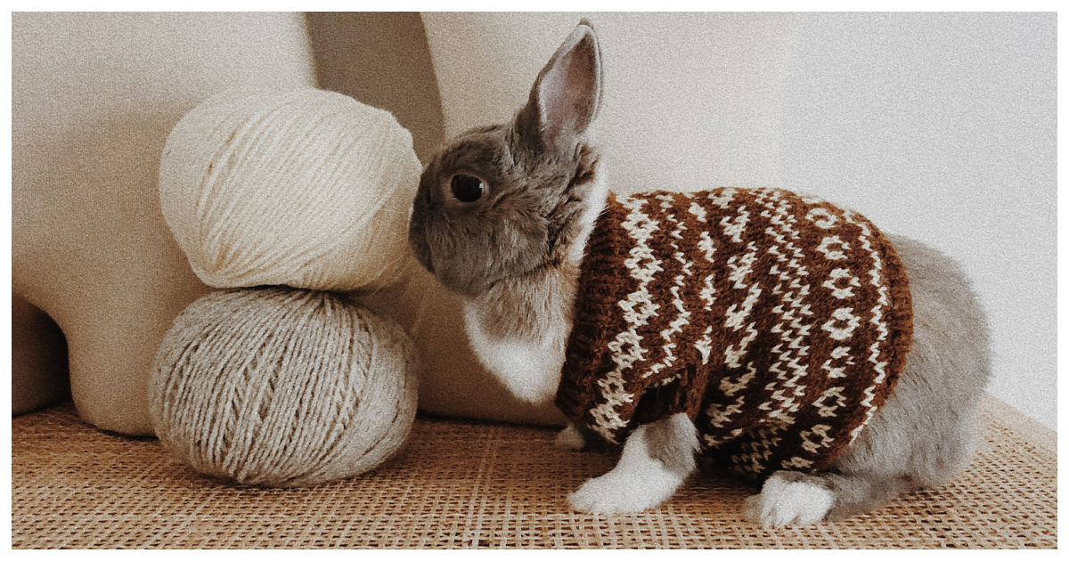 Bunny Hug Free Knitting Pattern