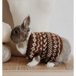 Bunny Hug Knitting Pattern