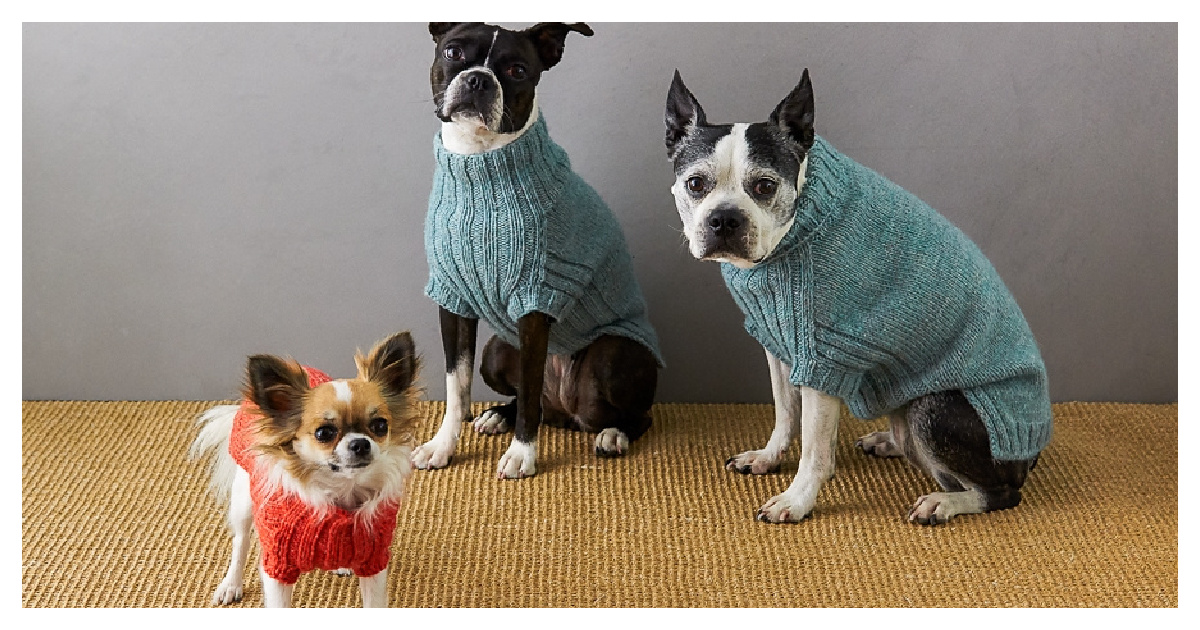 Lucky Dog Sweater Knitting Pattern