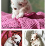 New Born Puppy Free Knitting Pattern