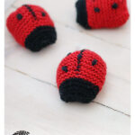 Sweet Ladybug Soft Toy Free Knitting Pattern