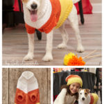 Candy Corn Dog Sweater Free Knitting Pattern