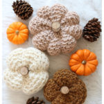 Chunky Small Pumpkins Free Knitting Pattern