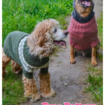 Fetch Dog Sweater Free Knitting Pattern