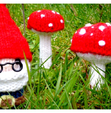 Mr Gnome and Mushroom Free Knitting Pattern