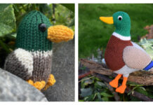 Mallard Duck Amigurumi Knitting Patterns