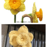 Daffodils Free Knitting Pattern