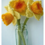 Daffodils Knitting Pattern