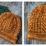 Coral Reef Beanie Hat Free Knitting Pattern