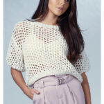Cropped Boxy Tee Free Knitting Pattern