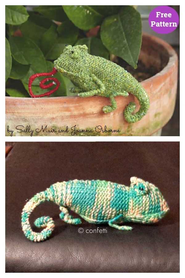 Chameleon Free Knitting Pattern 