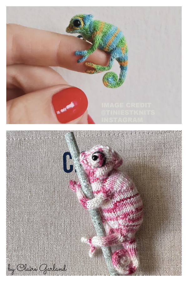 Chameleon Free Knitting Pattern