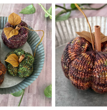 Pumpkin Gourdtet Free Knitting Pattern