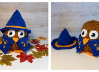 Wizard Owl Free Knitting Pattern